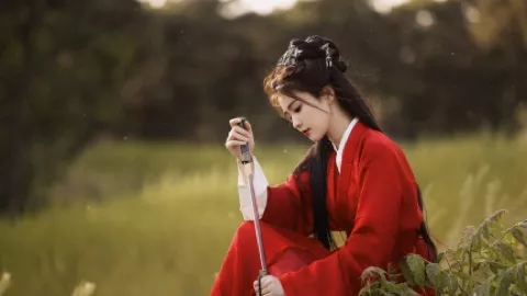 意大利加沙船队护航中止